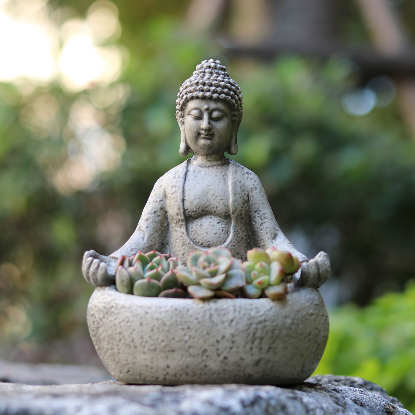 Succulent Planter Pot - Meditating Buddha Succulent Planter Pot, Resin