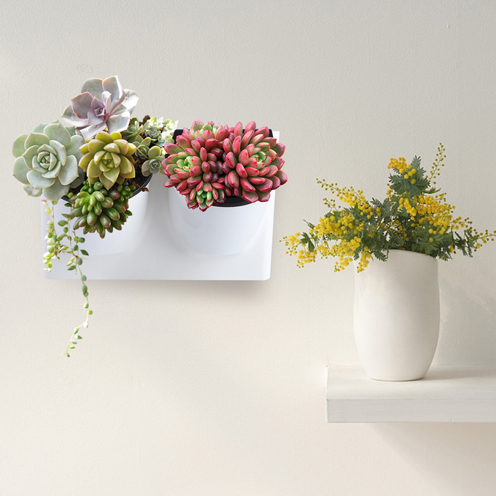 Self Watering Flower Pot Plast - Succulent Planter Pot review and price