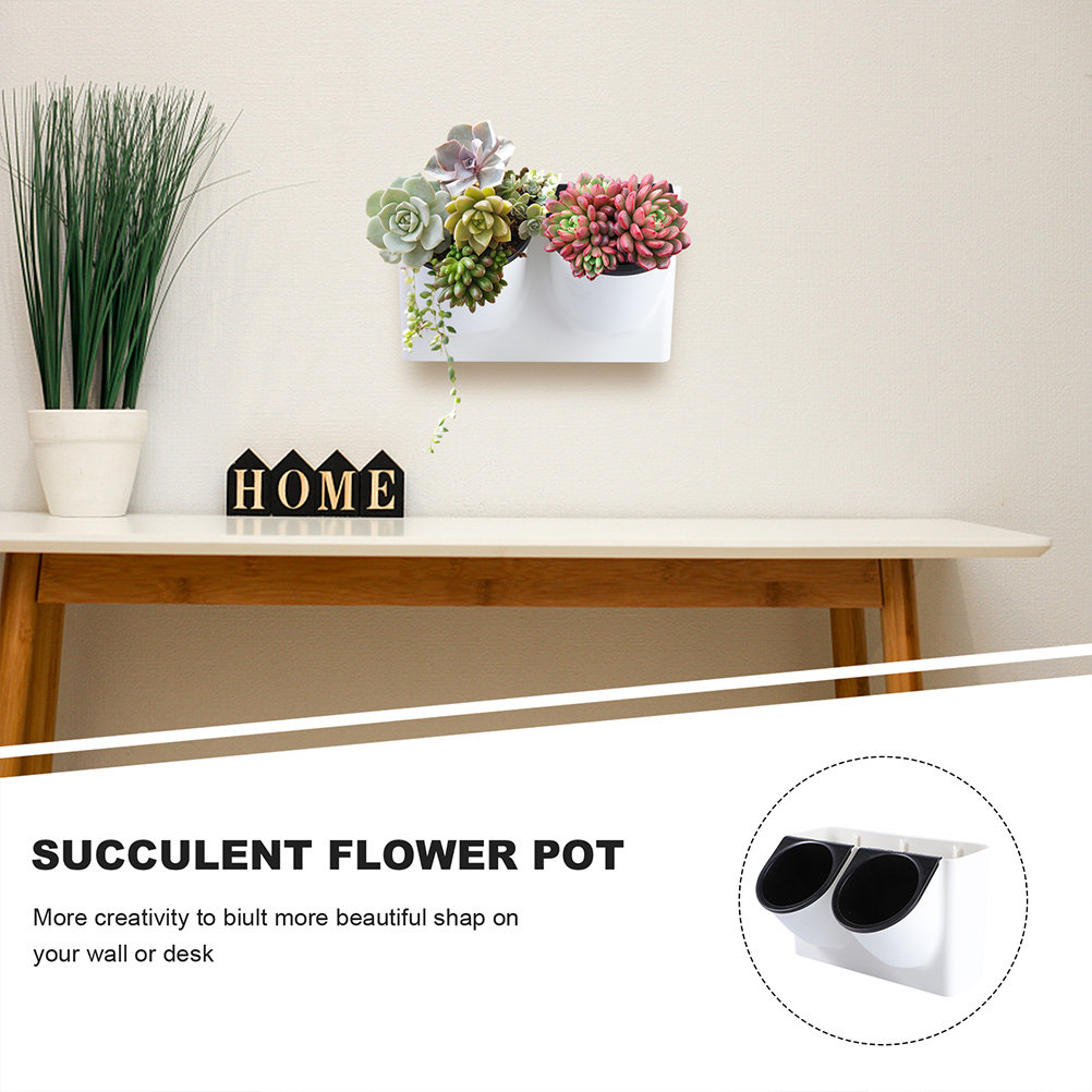Self Watering Flower Pot Plast - Succulent Planter Pot review and price
