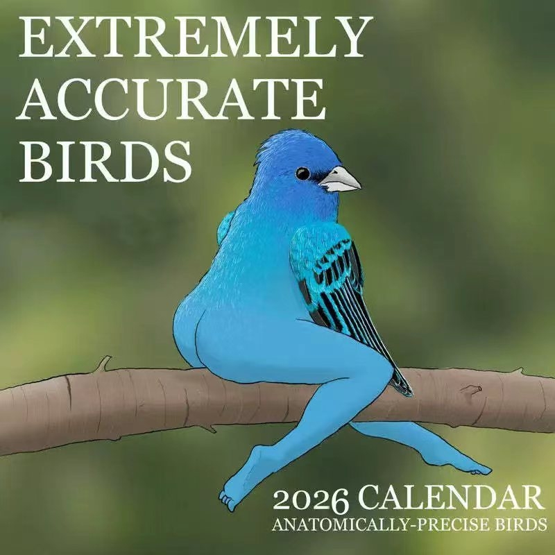 CALENDAR OF EXTREMELY ACCURATE - Home Decor Xmas Gifts review and price