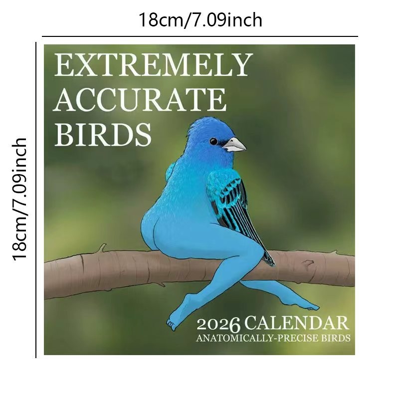CALENDAR OF EXTREMELY ACCURATE - Home Decor Xmas Gifts review and price