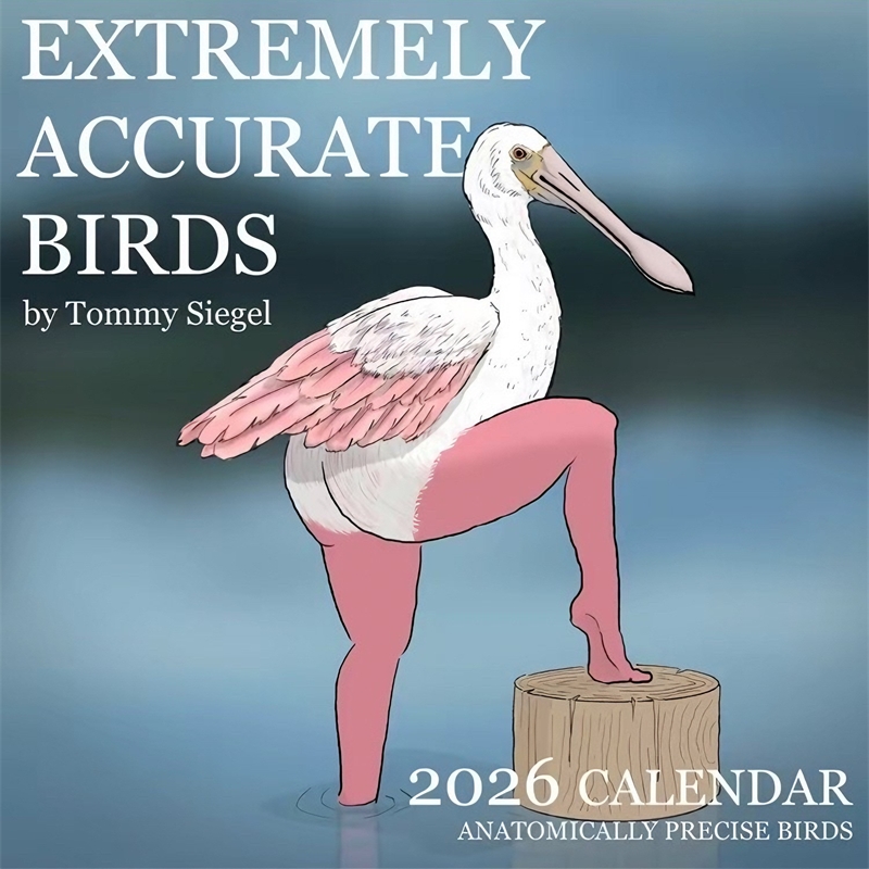 CALENDAR OF EXTREMELY ACCURATE - Home Decor Xmas Gifts review and price
