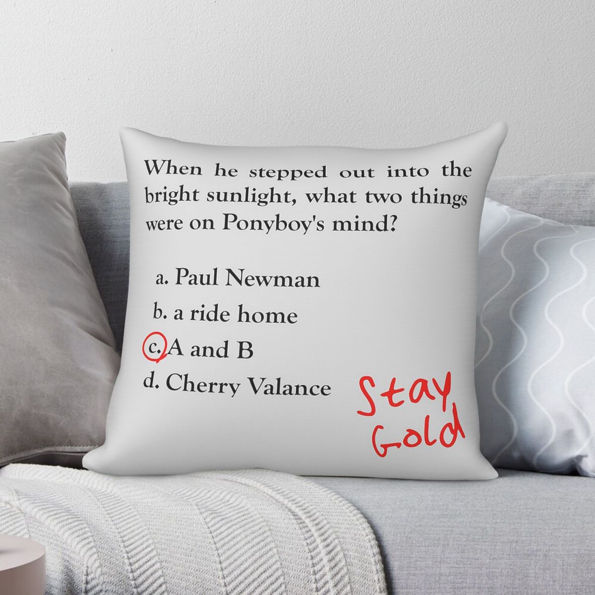 Outsiders Ponyboy Quiz Questio - Home Decor Quiz review and price