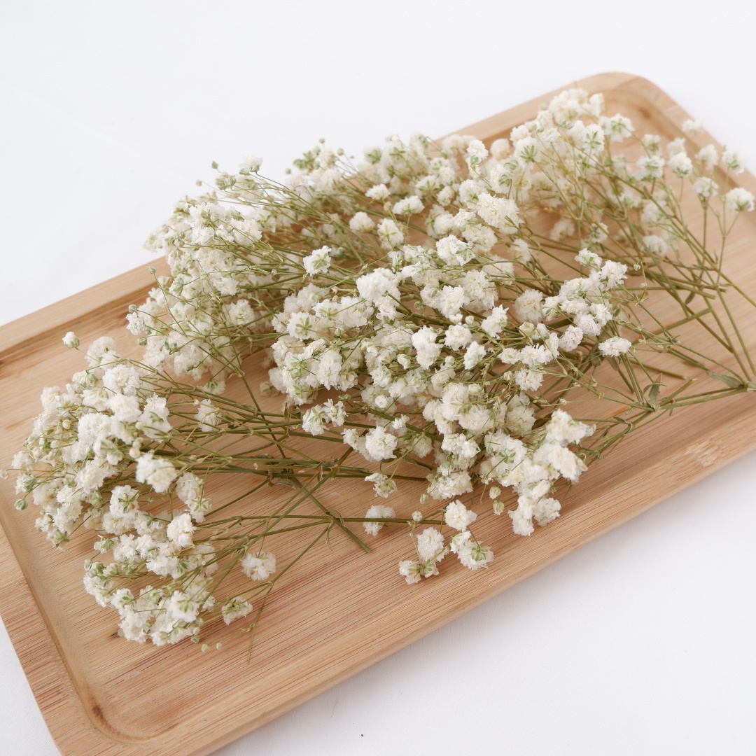 Dried Flowers White Mini Dried - Home Decor Vase With Flowers review and price