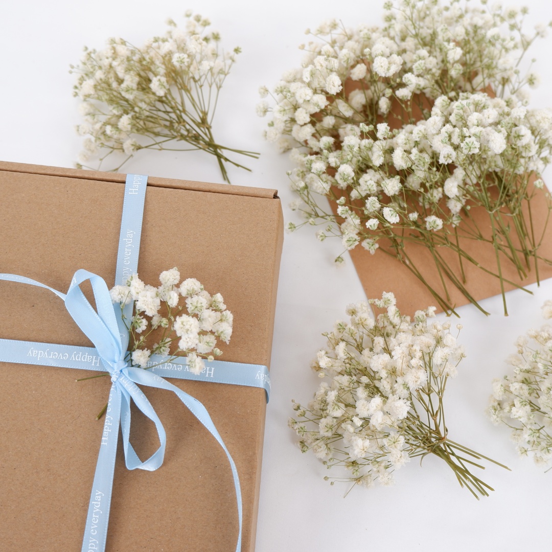 Dried Flowers White Mini Dried - Home Decor Vase With Flowers review and price