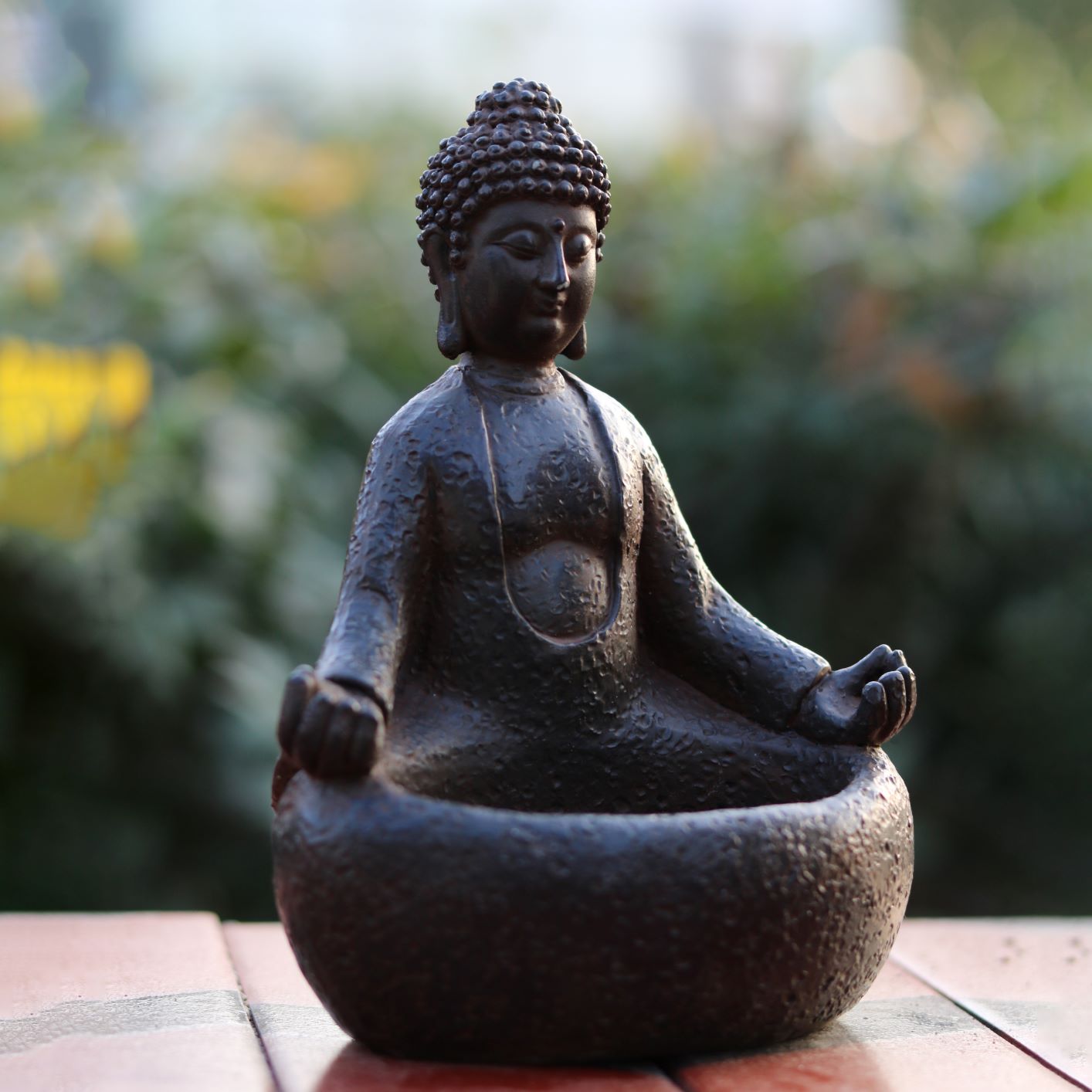Meditating Buddha Succulent Pl - Succulent Planter Pot review and price