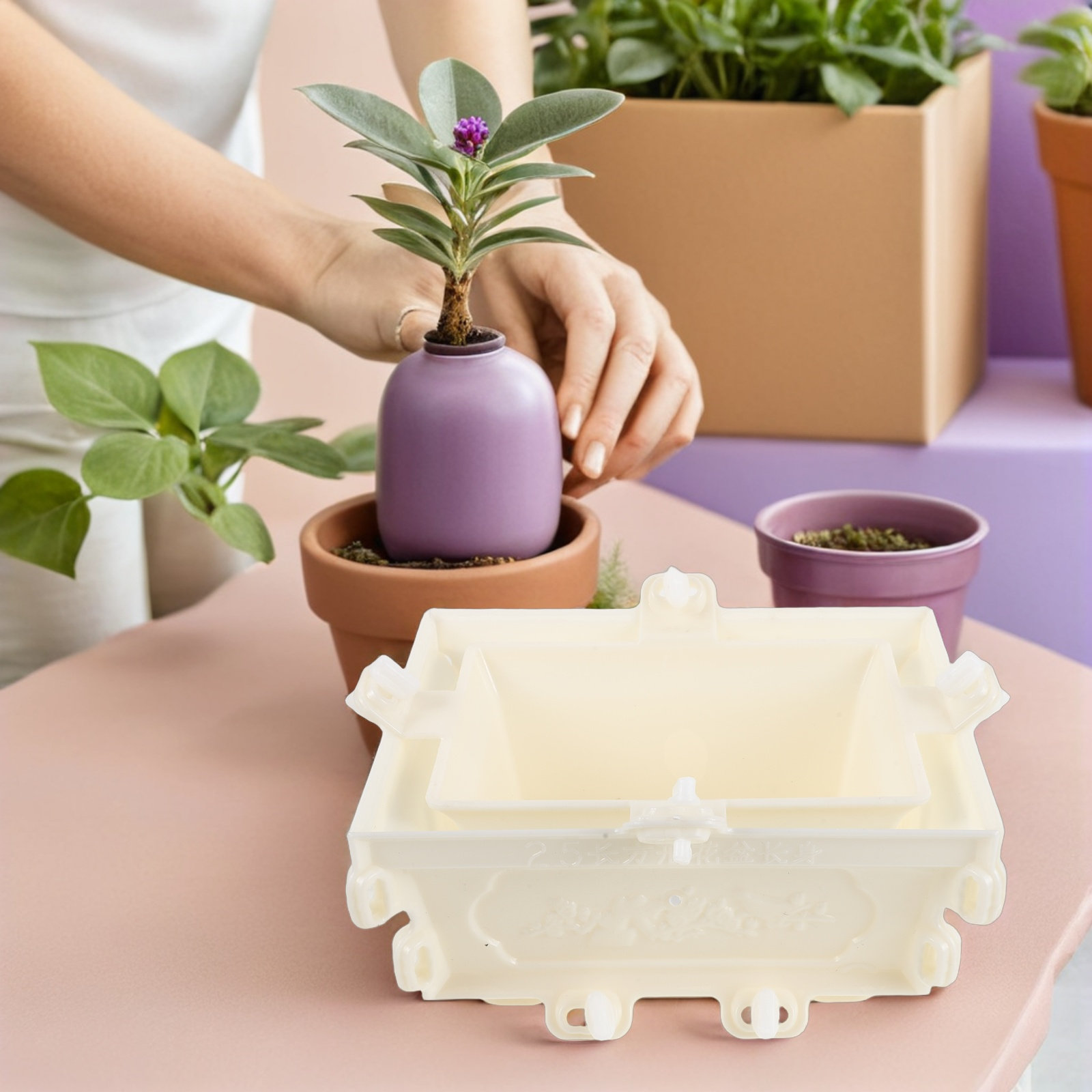 Plastic Concrete Flower Pot Mo - Succulent Planter Pot review and price