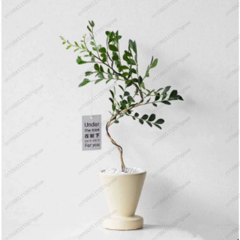 Minimalist Conical Ceramic Pla - Succulent Planter Pot review and price