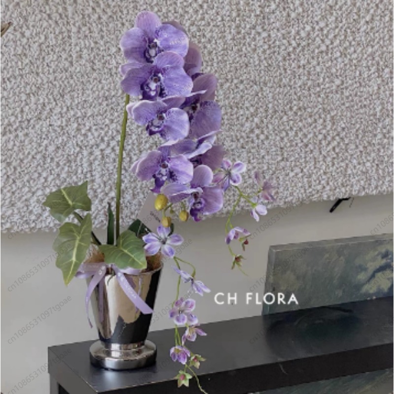 Minimalist Conical Ceramic Pla - Succulent Planter Pot review and price