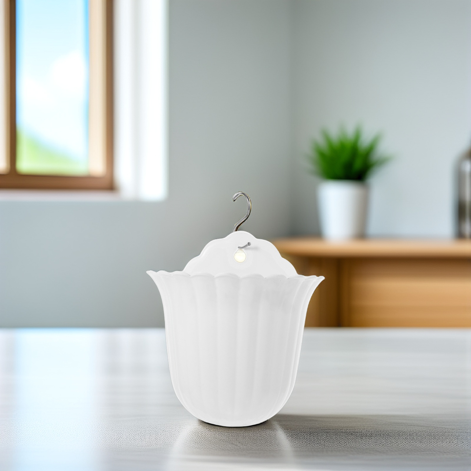 2Pcs Wall Plant Holder for Ind - Succulent Planter Pot review and price