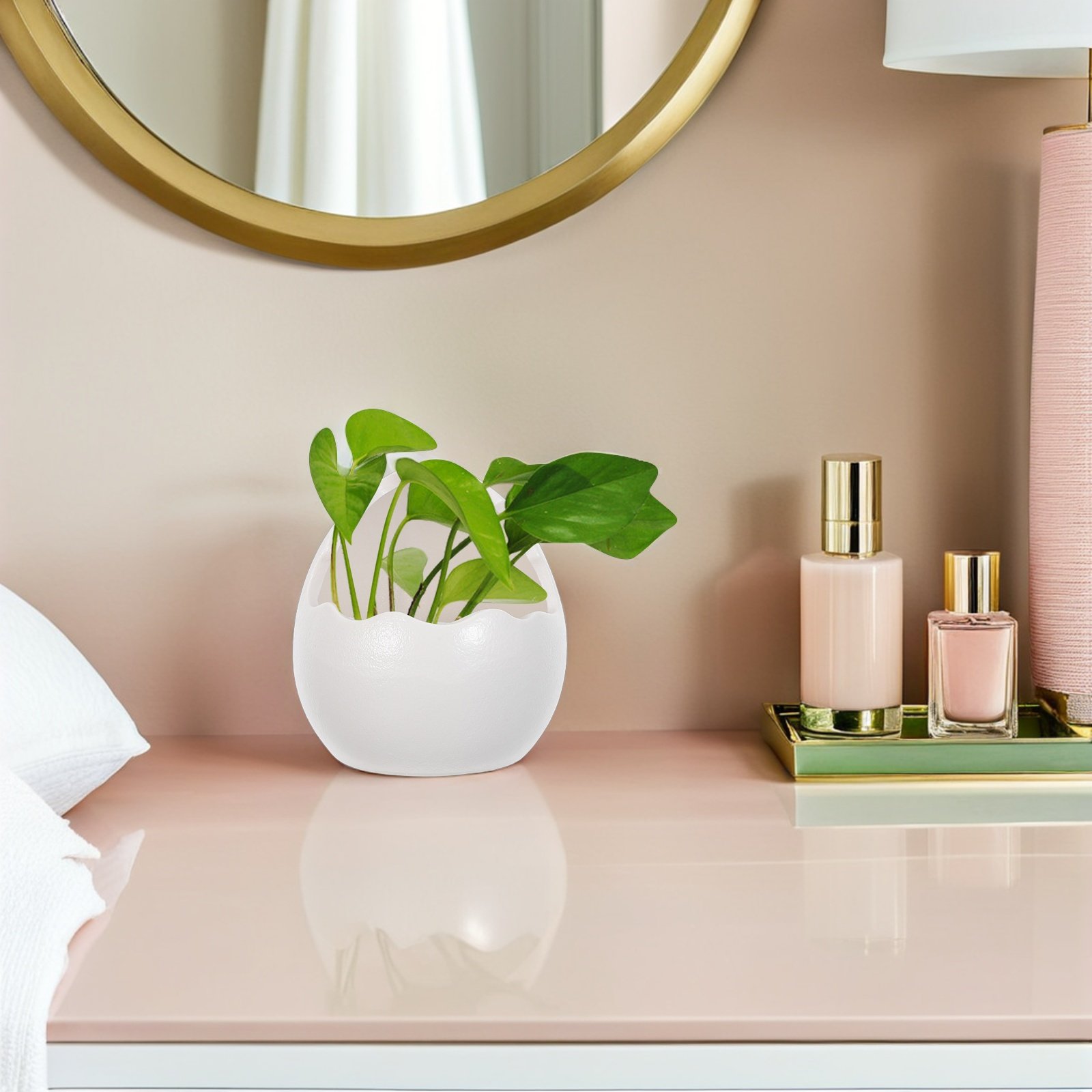 Cute Cracked Egg Ceramic Plant - Succulent Planter Pot review and price