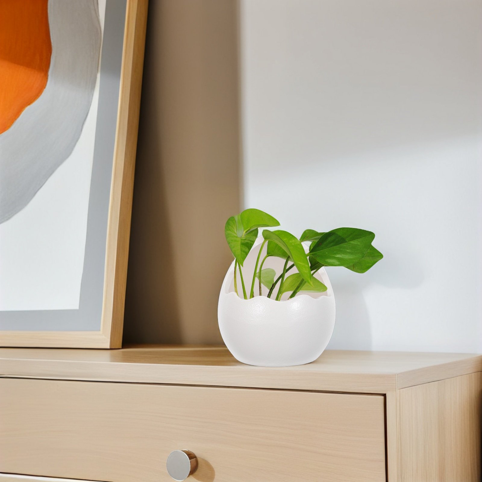 Cute Cracked Egg Ceramic Plant - Succulent Planter Pot review and price
