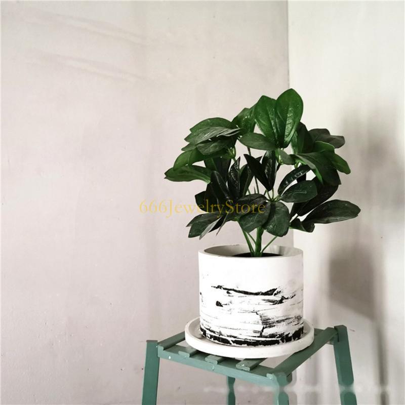 F2TD Large Round Concrete Flow - Succulent Planter Pot review and price