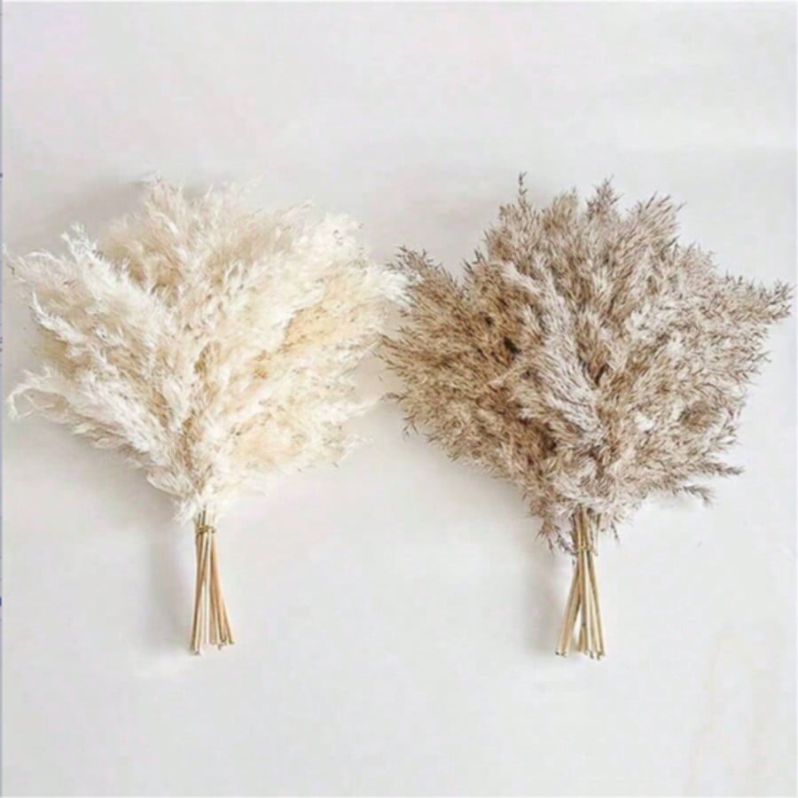 10/20/30pcs White Artificial P - Home Decor Vase With Flowers review and price