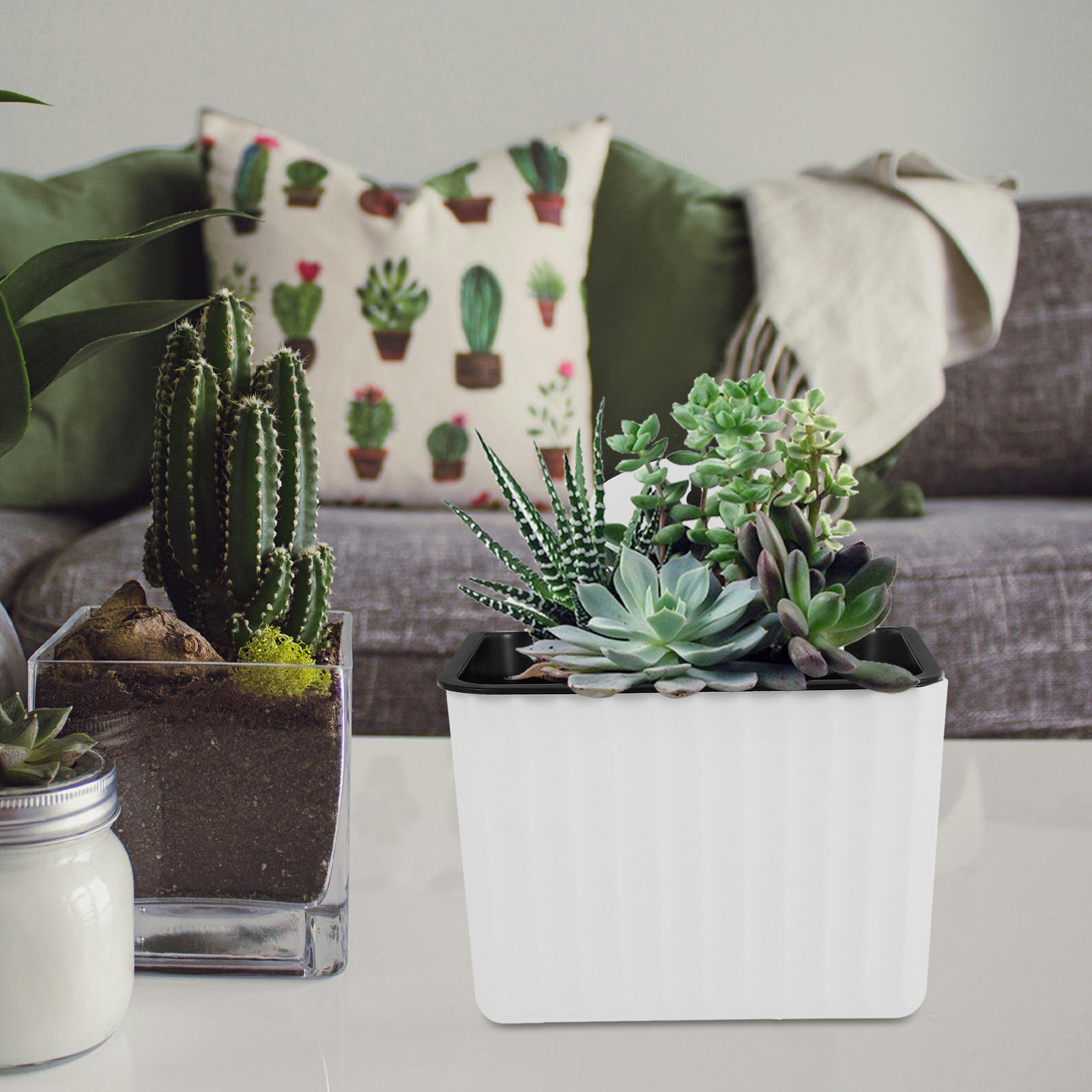 2Pcs Self Watering Flower Pots - Succulent Planter Pot review and price